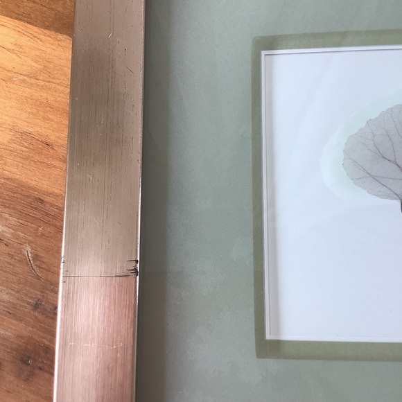 Albert Koetsier Signed Art Print Aspen Leaves Brushed Nickel Frame - Picture 8 of 12